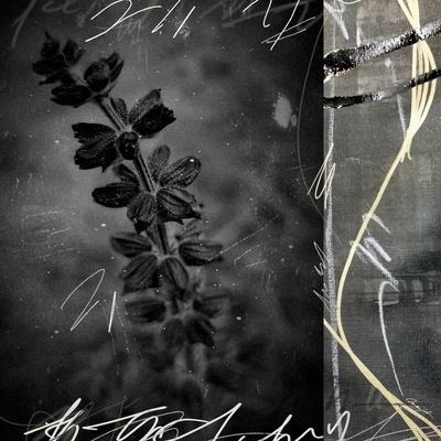 Photographic Print, , small
