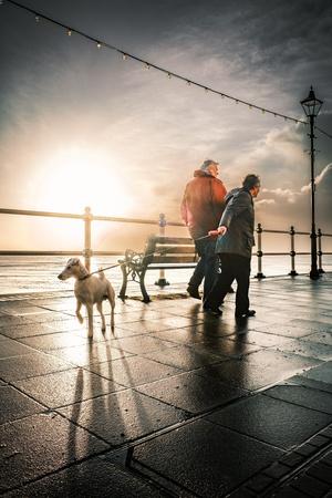 Photographic Print, , small