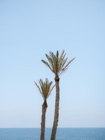 Photographic Print, , small