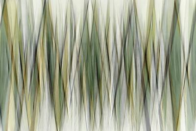Photographic Print, , small