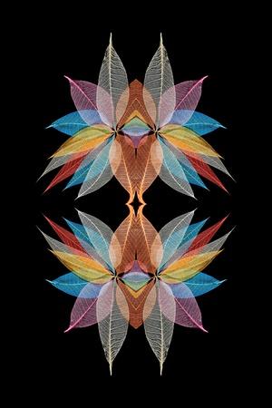 Photographic Print, , small