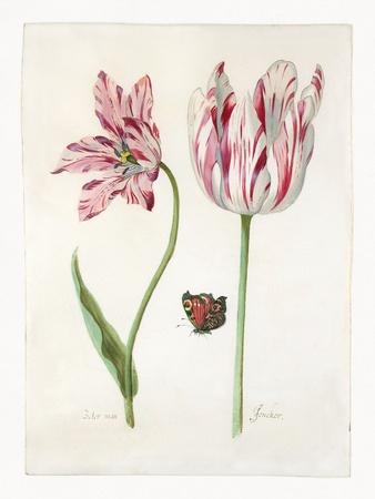 Art Print, , small