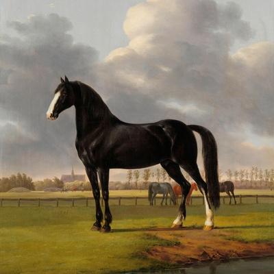 Art Print, , small