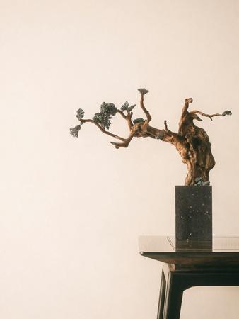 Photographic Print, , small
