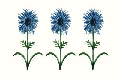 Art Print, , small