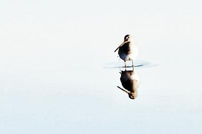 Photographic Print, , small