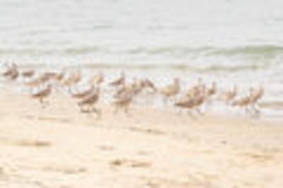 Photographic Print, , small
