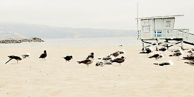 Photographic Print, , small
