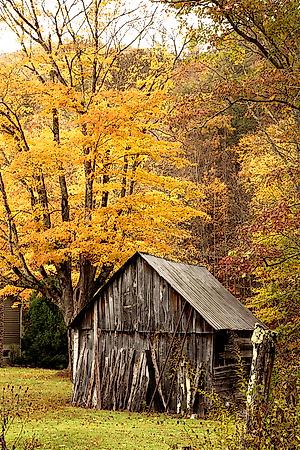 Photographic Print, , small