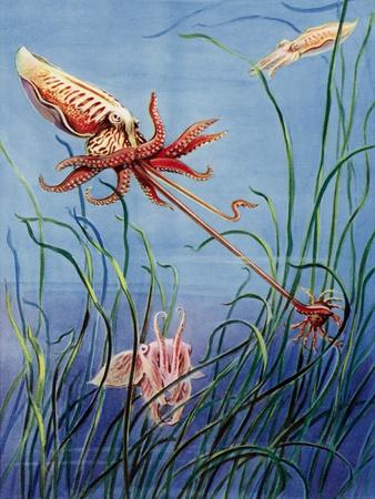 Giclee Print, , small