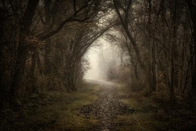 Photographic Print, , small
