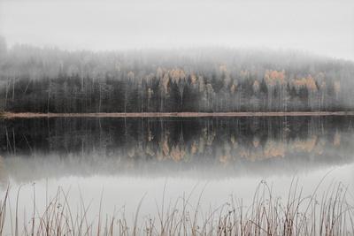 Photographic Print, , small