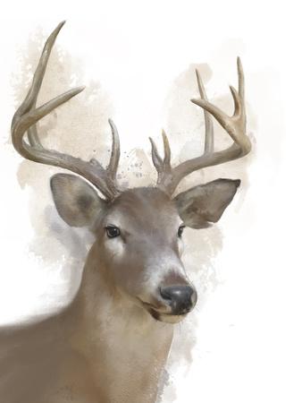 Art Print, , small