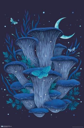Poster, , small