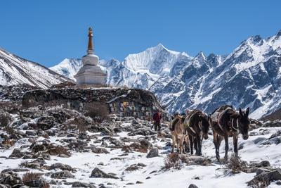 Photographic Print, , small