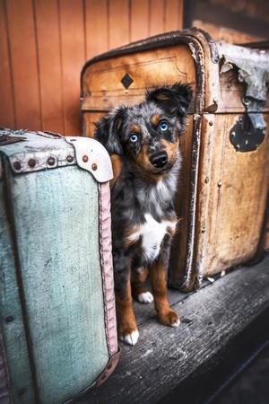Photo, , small