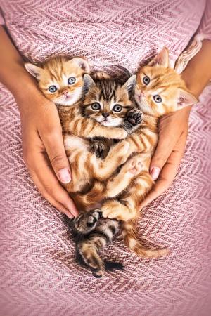 Photo, , small