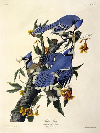 Art Print, , small