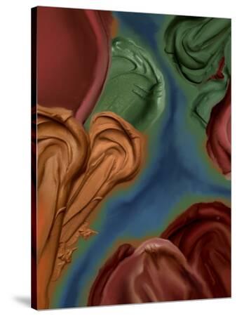 Stretched Canvas Print, , small