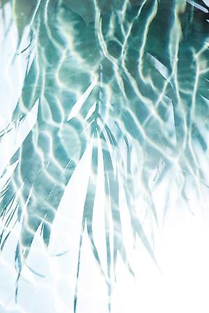 Photographic Print, , small
