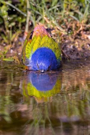 Photographic Print, , small