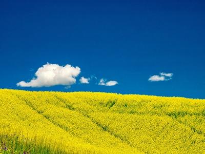 Photographic Print, , small