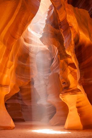Photographic Print, , small