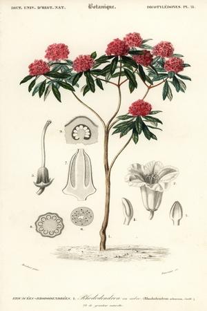 Giclee Print, , small