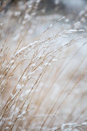 Photographic Print, , small
