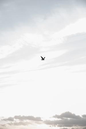 Photographic Print, , small