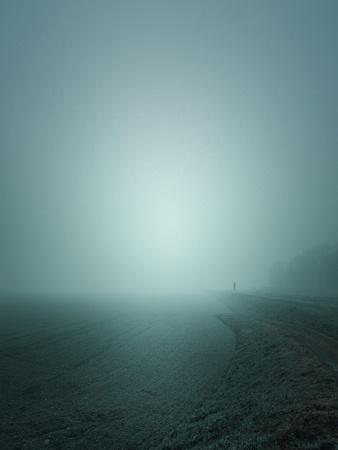 Photographic Print, , small