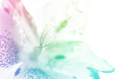 Photographic Print, , small