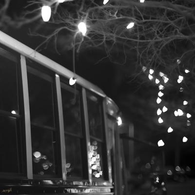 Photographic Print, , small