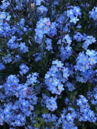 Photographic Print, , small