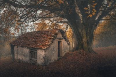Photographic Print, , small