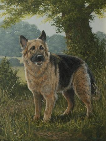 Giclee Print, , small