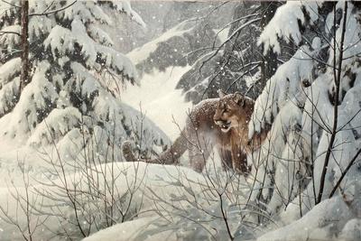 Giclee Print, , small