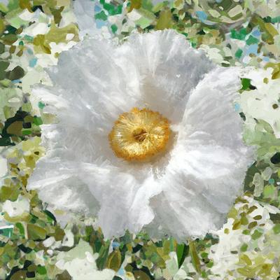 Art Print, , small