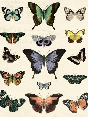 Art Print, , small