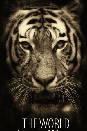 Art Print, , small