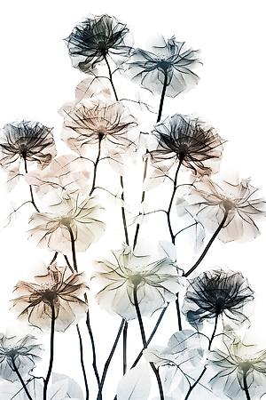 Art Print, , small