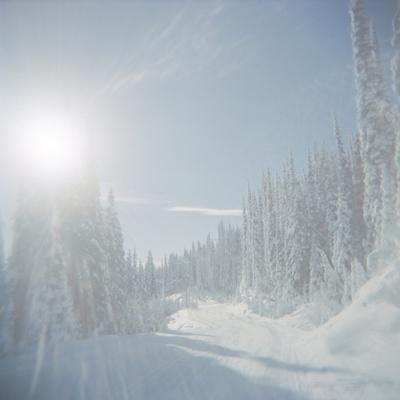 Photographic Print, , small