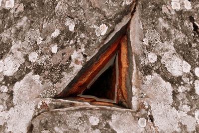 Photographic Print, , small