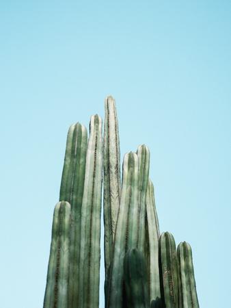 Photographic Print, , small