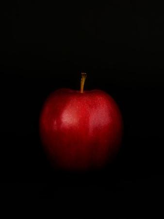 Photographic Print, , small