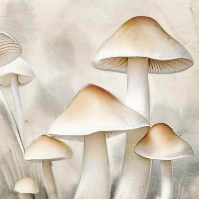 Art Print, , small