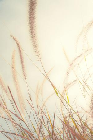 Photographic Print, , small