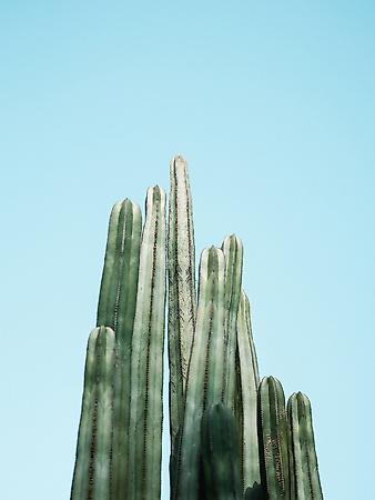 Photographic Print, , small