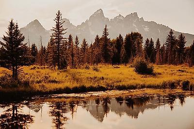 Photographic Print, , small