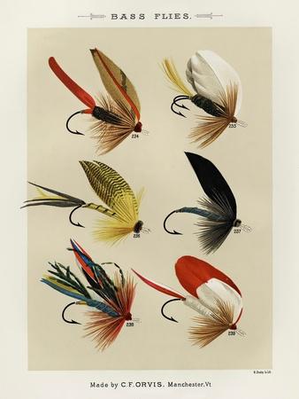 Giclee Print, , small